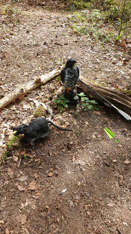 20190424 134504-bogenschiessen