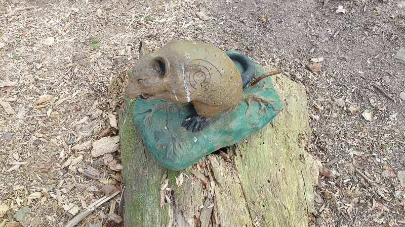 20190424 135426-bogenschiessen