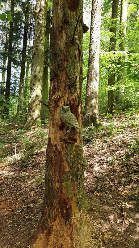 20190424 135429-bogenschiessen