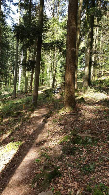 20190424 135539-bogenschiessen