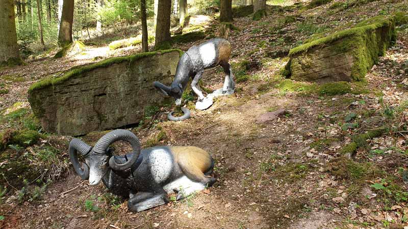 20190424 135735-bogenschiessen