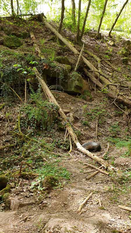 20190424 140806-bogenschiessen