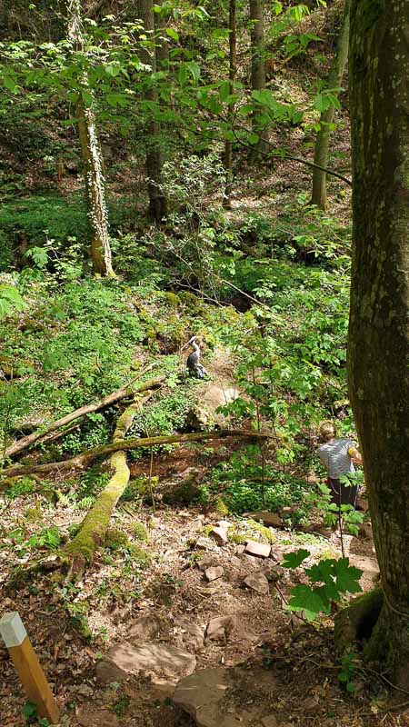 20190424 141055-bogenschiessen