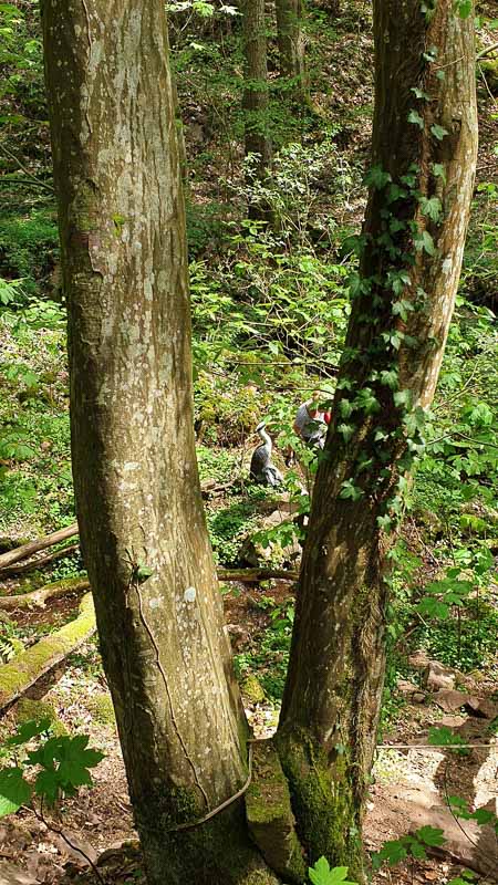 20190424 141108-bogenschiessen