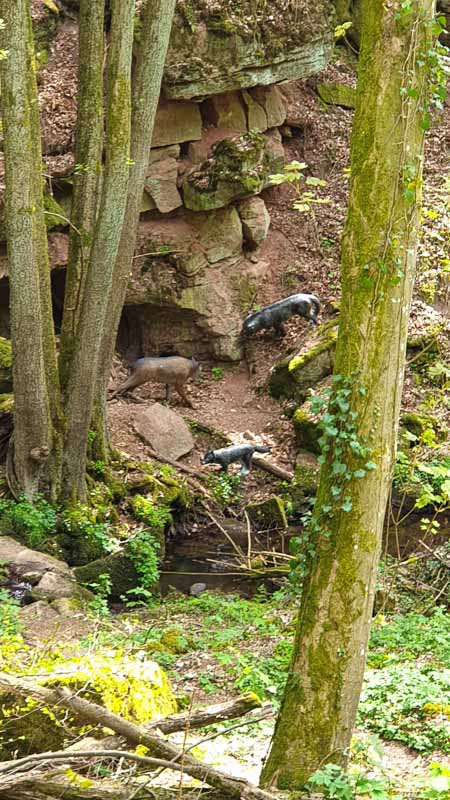 20190424 141539-bogenschiessen