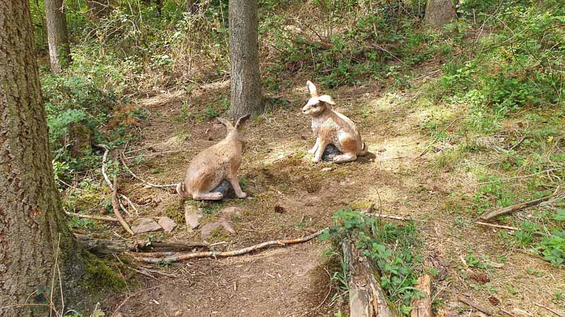 20190424 142210-bogenschiessen