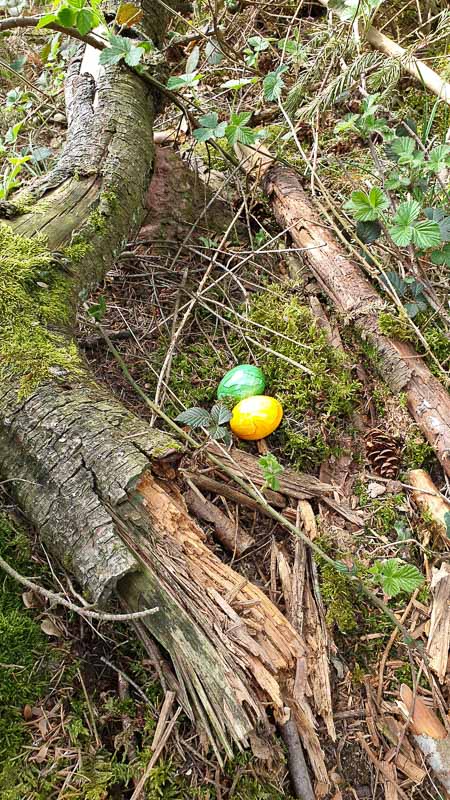 20190424 142217-bogenschiessen