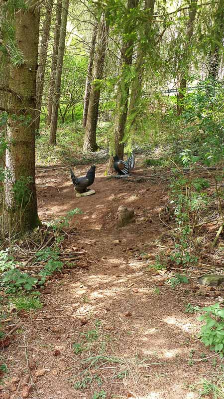 20190424 142511-bogenschiessen