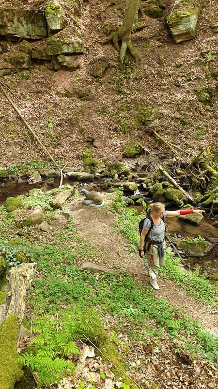 20190424 142955-bogenschiessen