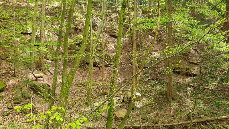 20190424 143636-bogenschiessen