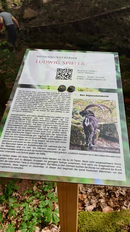 20190424 143746-bogenschiessen