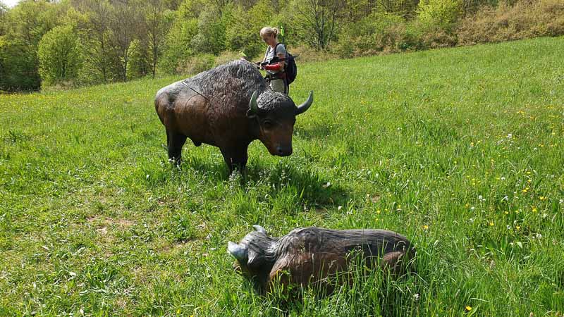 20190424 144619-bogenschiessen