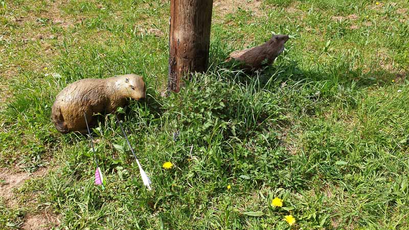 20190424 144913-bogenschiessen