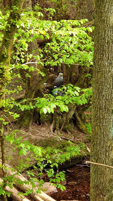 20190424 145309-bogenschiessen