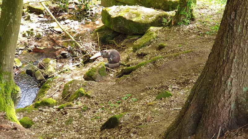 20190424 145816-bogenschiessen