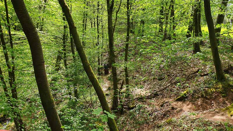 20190424 150158-bogenschiessen