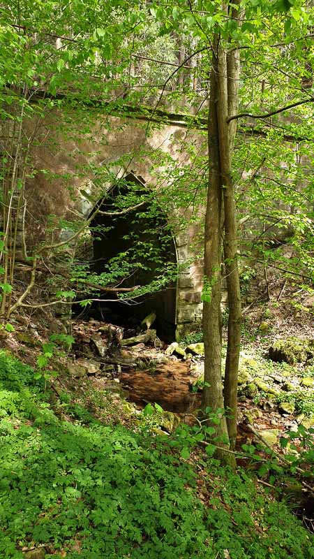 20190424 150314-bogenschiessen