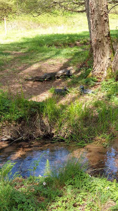 20190425 114937-bogenschiessen