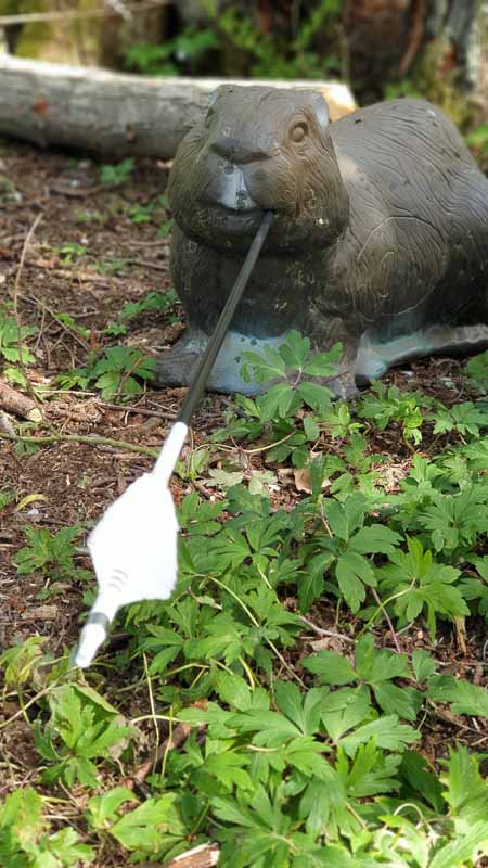 20190425 120316-bogenschiessen