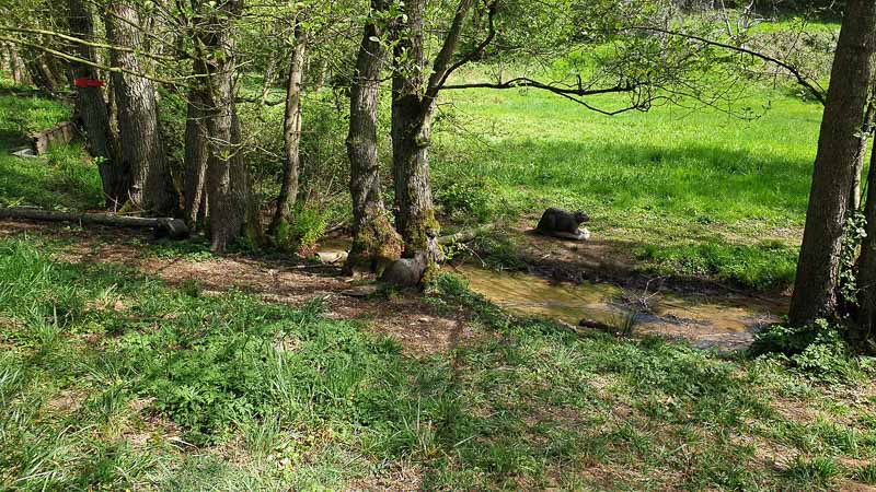 20190425 120359-bogenschiessen