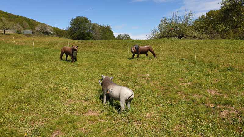 20190425 121729-bogenschiessen