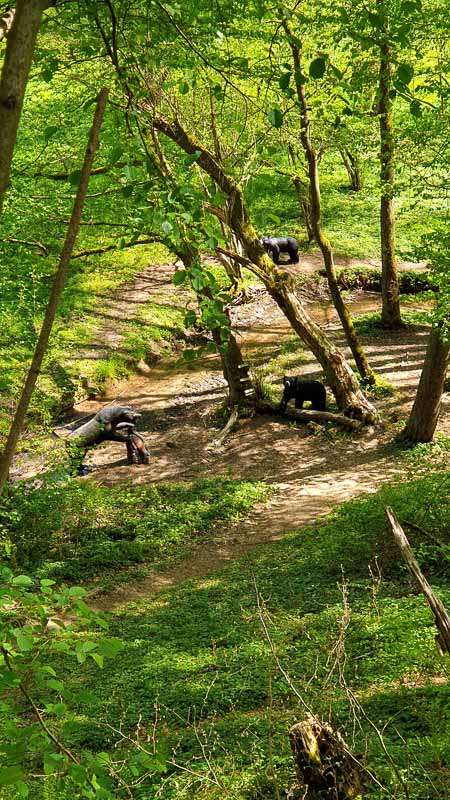 20190425 122325-bogenschiessen