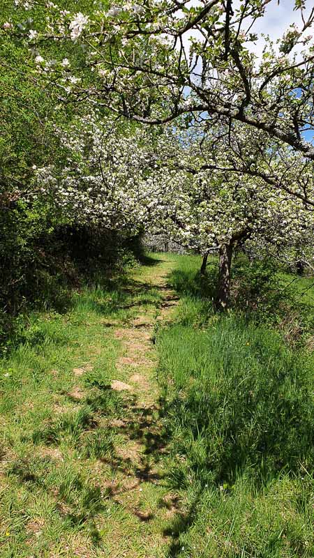 20190425 130140-bogenschiessen