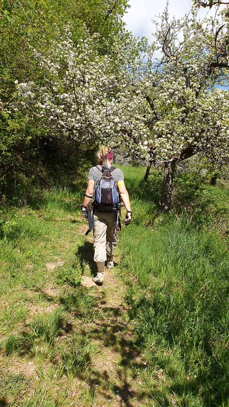 20190425 130200-bogenschiessen