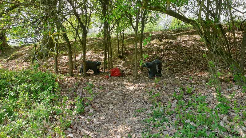 20190425 130807-bogenschiessen