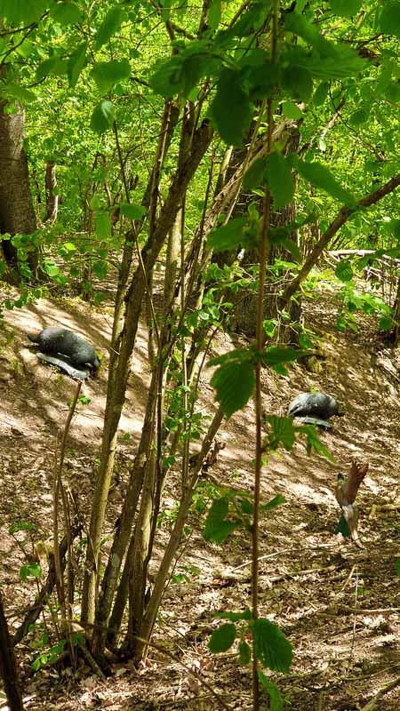 20190425 131555-bogenschiessen