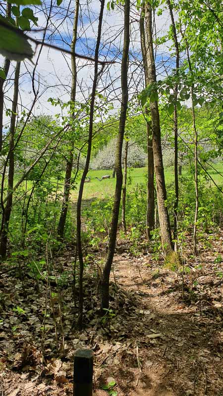 20190425 131923-bogenschiessen