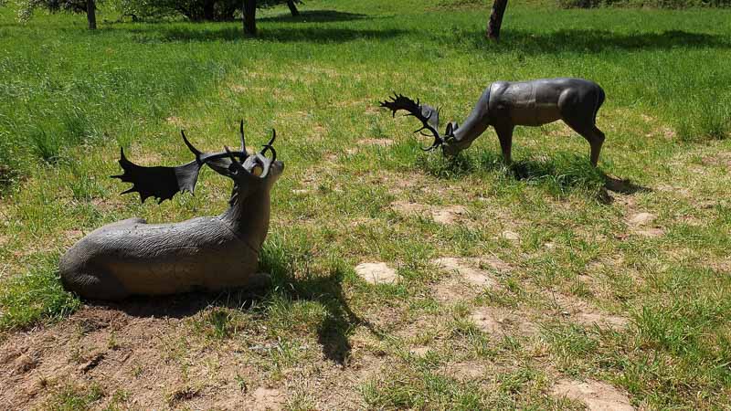 20190425 132343-bogenschiessen