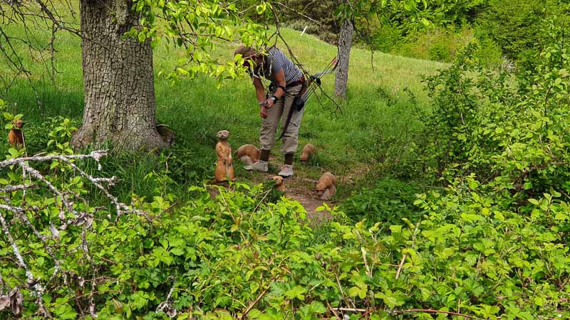 20190425 133603-bogenschiessen