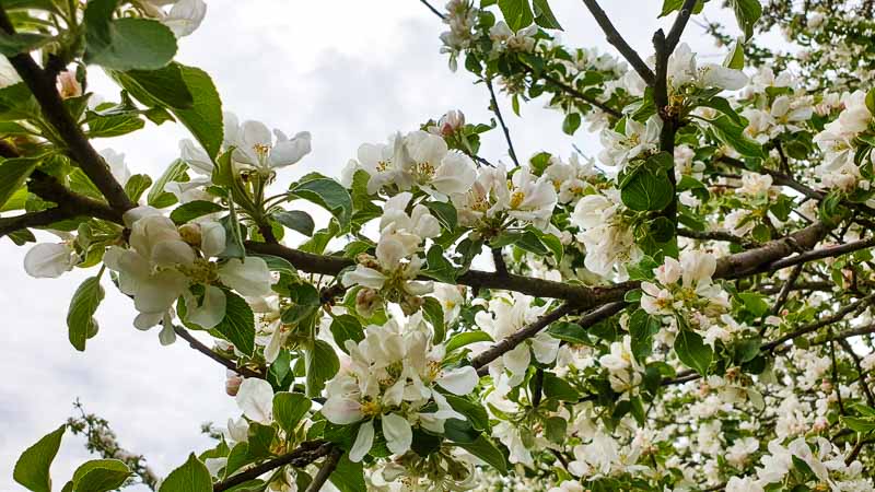 20190425 140630-bogenschiessen