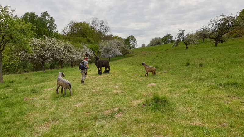 20190425 140720-bogenschiessen