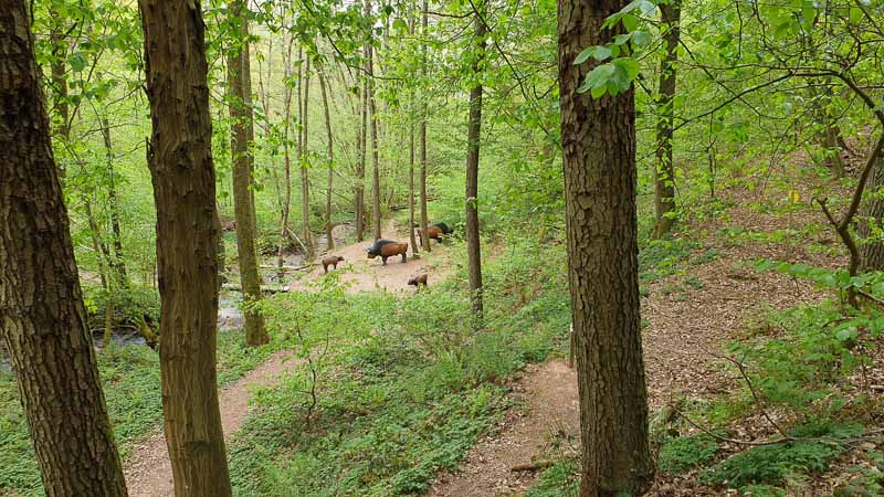 20190425 142522-bogenschiessen