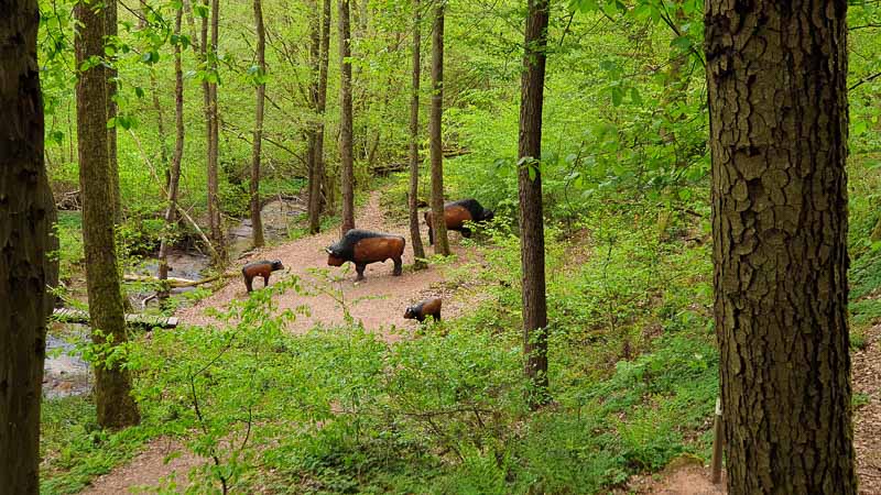 20190425 142524-bogenschiessen