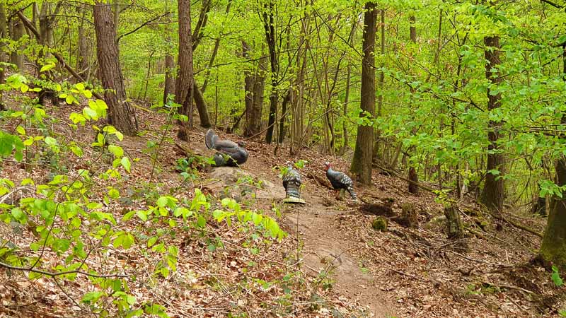 20190425 143807-bogenschiessen