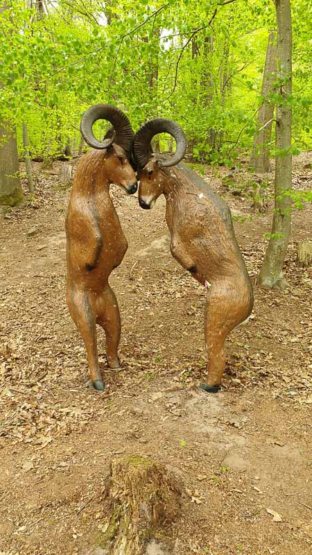 20190425 144406-bogenschiessen