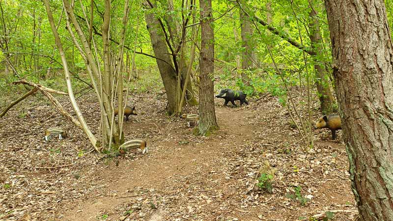 20190425 145404-bogenschiessen