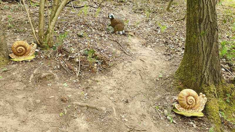 20190425 150842-bogenschiessen