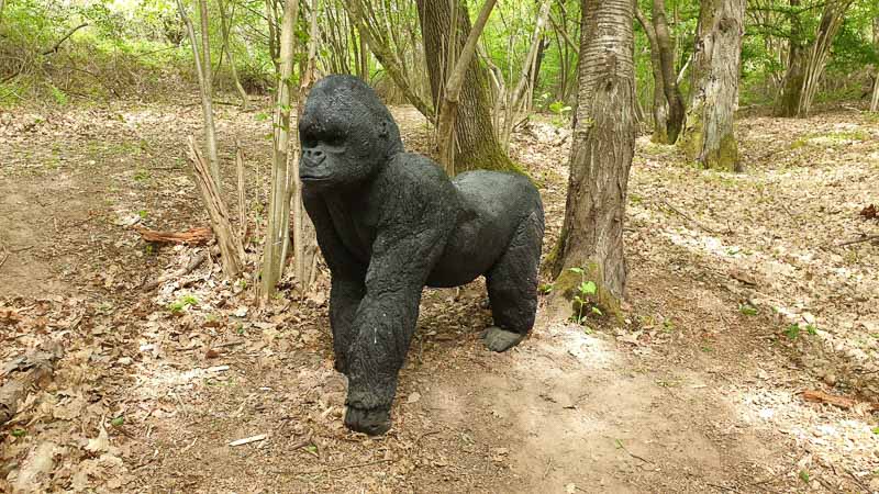 20190425 151838-bogenschiessen