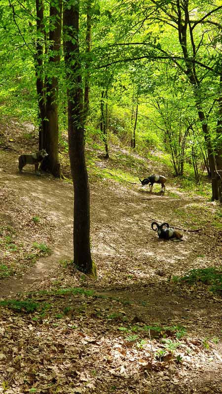 20190425 152023-bogenschiessen