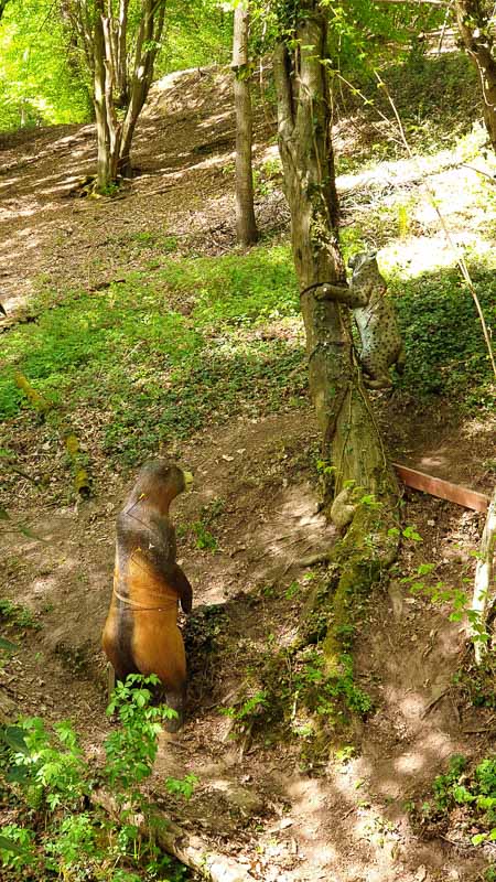 20190425 153643-bogenschiessen