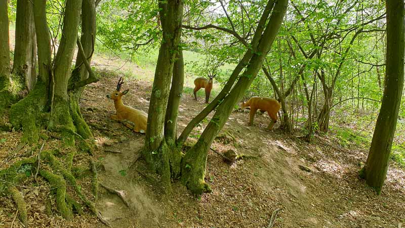 20190425 154420-bogenschiessen