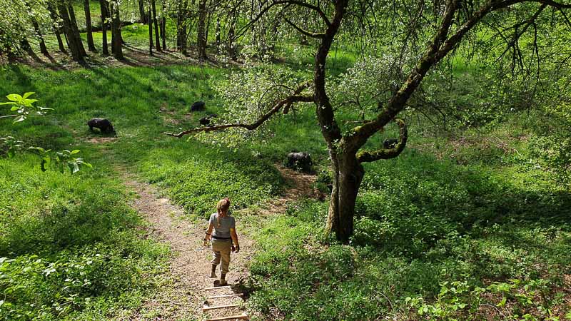 20190425 155527-bogenschiessen