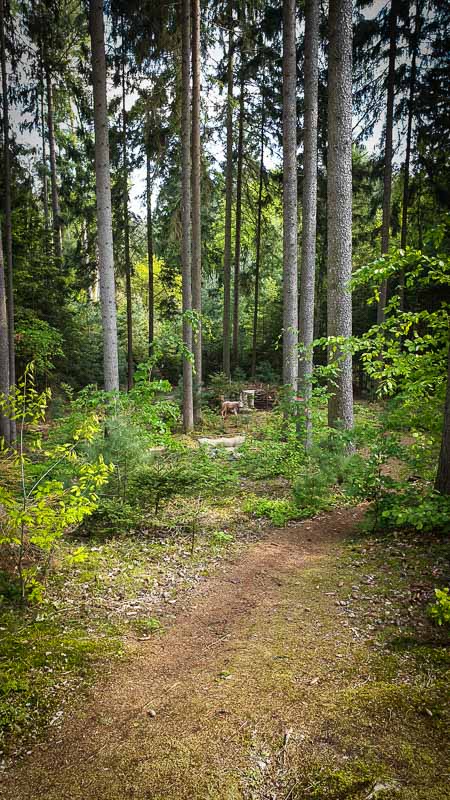 20190517 161954-bogenschiessen