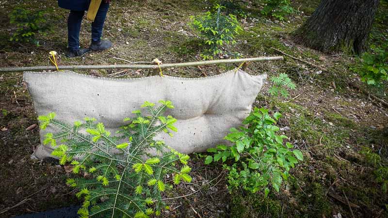 20190517 162544-bogenschiessen