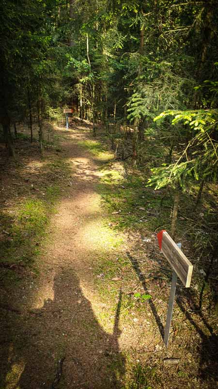 20190517 163913-bogenschiessen