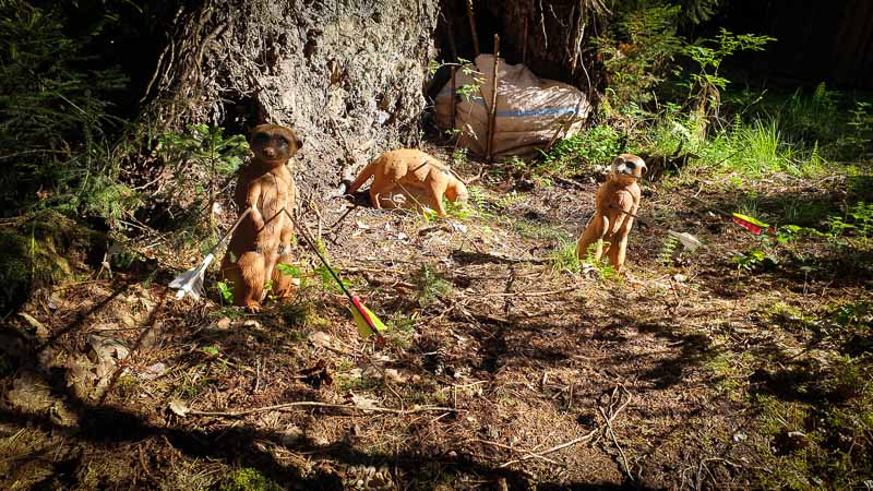 20190517 164214-bogenschiessen